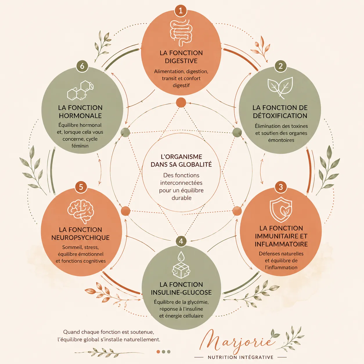 Schéma des six fonctions explorées — digestive, détoxification, immunitaire et inflammatoire, insuline-glucose, neuropsychique et hormonale — reliées entre elles autour de l'organisme dans sa globalité.