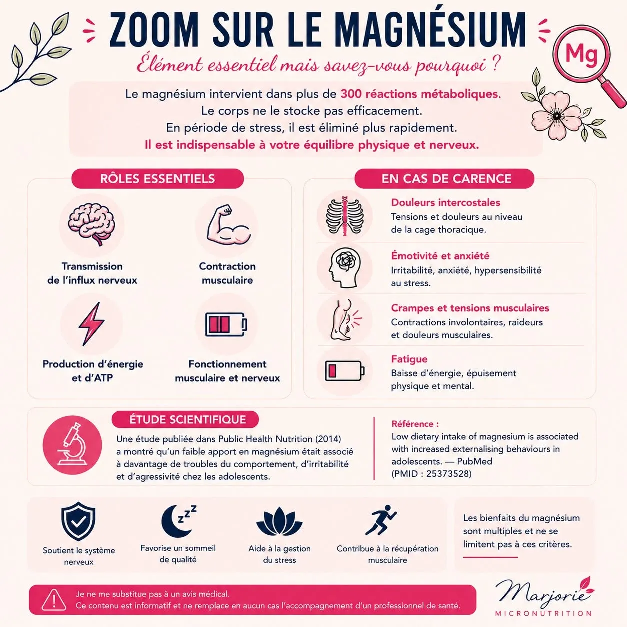 Infographie Marjorie Micronutrition : zoom sur le magnésium, ses rôles essentiels et les signes de carence.
